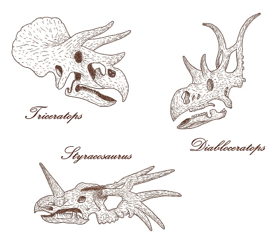 Reddit - daily sketch - dinosaur skulls
